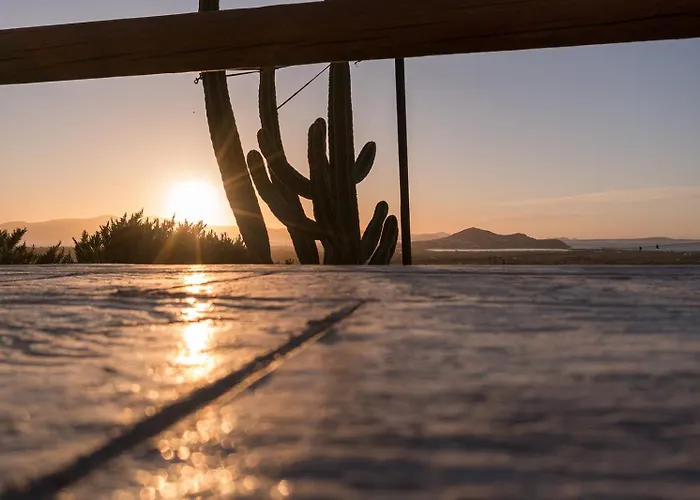 Papa Апартаменты