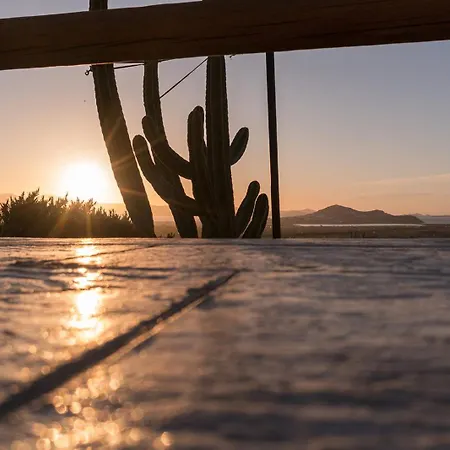 Papa Διαμέρισμα